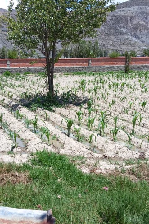 Terreno en Valencia